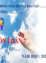 Bài giảng Toán Lớp 7 (Sách Chân trời sáng tạo) - Chương 2 - Bài 1 Số vô tỉ. Căn bậc hai số học - Năm học 2022-2023